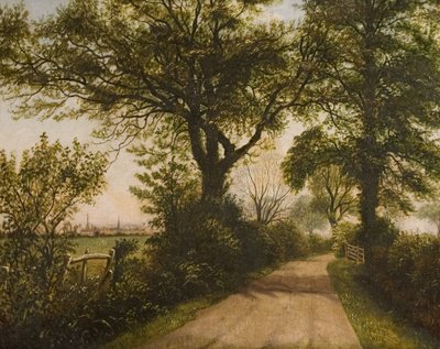 Distant View of Coventry, late 19th century by William Howard Reeve